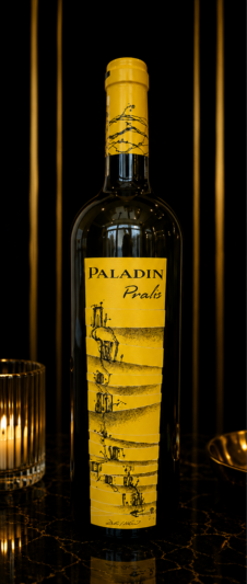 Paladin Pralis_col1_part1
