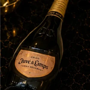 Gran Juvé & Camps 2018_col2_part2