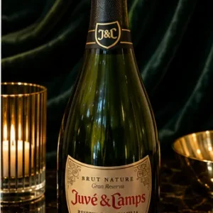 Juvé & Camps Reserva de la Familia Rosé 2021_col2_part1